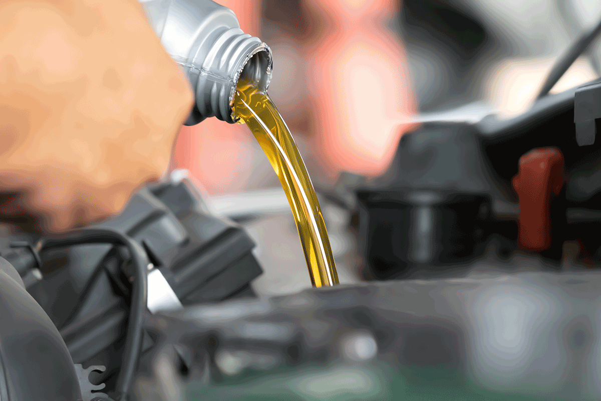 31-Point Inspection + Oil Change